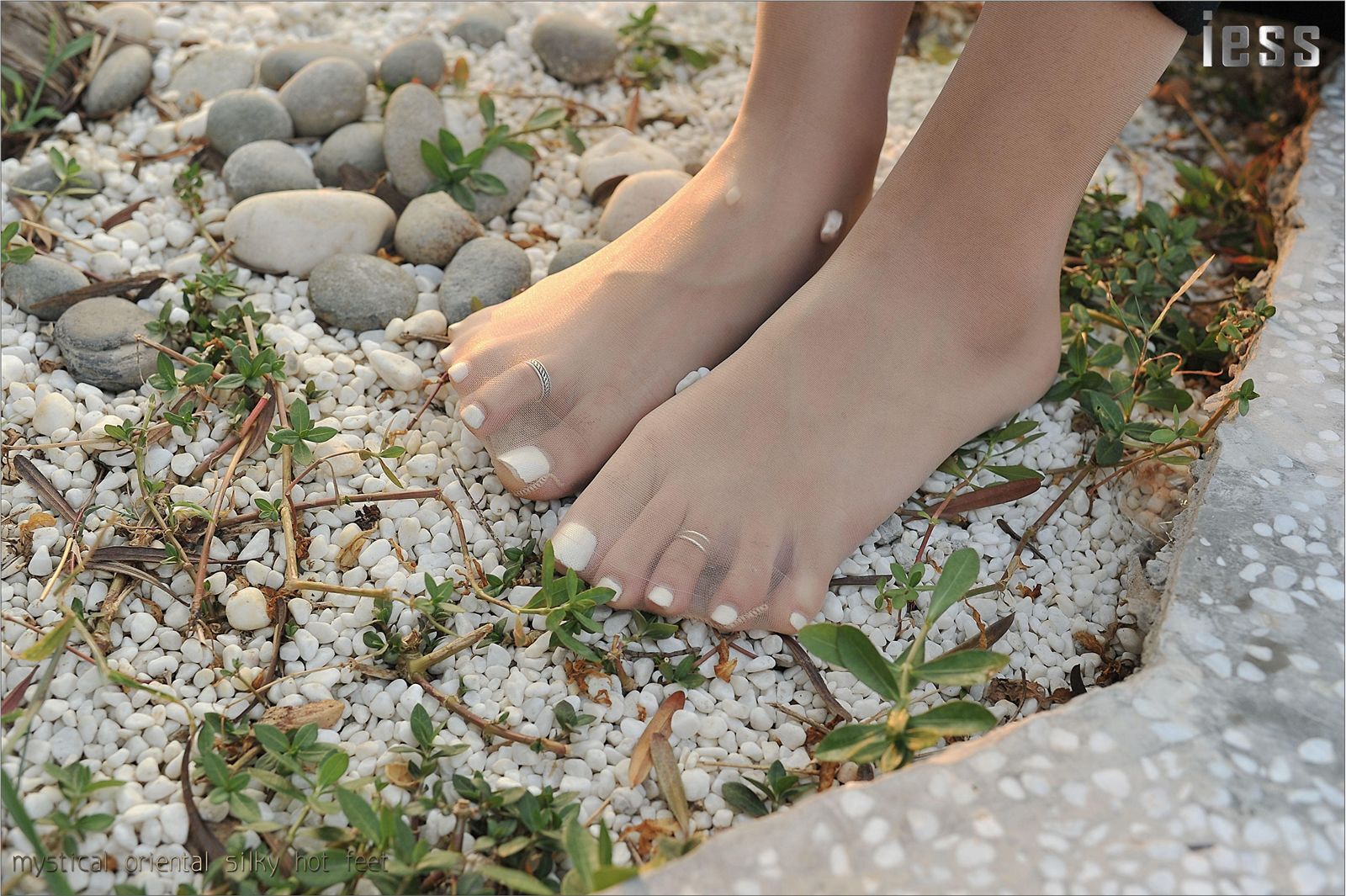 [IESS]异思趣向 女主播SASA 超薄肉丝